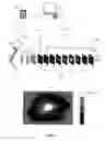 Fig. 02 - Optical imaging method and system for characterization and mapping of tissue lesions