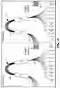 Fig. 07 - Method of reducing insertion loss in a transition region between a plurality of input or output waveguides to a free space coupler region