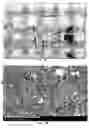 Fig. 04 - Absorbent structure with aggregate clusters