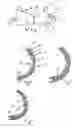 Fig. 02 - Bra construction