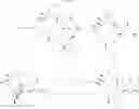 Fig. 366 - Tetracyclic bicyclolides