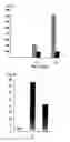 Fig. 04 - Novel gene relating to fibrotic conditions
