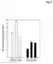 Fig. 06 - Methods for xenotopic expression of nucleus-encoded plant and protist peptides and uses thereof