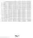 Fig. 08 - Methods for xenotopic expression of nucleus-encoded plant and protist peptides and uses thereof