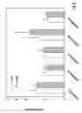 Fig. 06 - Injectable non-aqueous suspension