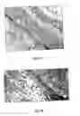 Fig. 08 - Water-soluble anionic bacteriochlorophyll derivatives and their uses