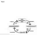 Fig. 02 - Compositions comprising multiple bioactive agents, and methods of using the same