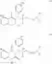 Fig. 07 - Treatment of latent tuberculosis
