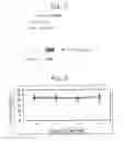 Fig. 04 - Pharmaceutical composition comprising N-aryl N′ morpholino/piperidino thiocarbamide derivatives for treating type II diabetes