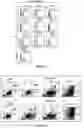 Fig. 02 - Substituted N′-pyrrolo[1,2-a]quinoxalin-4-yl-hydrazides as anti-cancer agents
