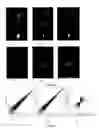 Fig. 06 - Substituted N′-pyrrolo[1,2-a]quinoxalin-4-yl-hydrazides as anti-cancer agents