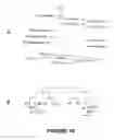 Fig. 07 - Substituted N′-pyrrolo[1,2-a]quinoxalin-4-yl-hydrazides as anti-cancer agents