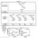 Fig. 09 - Compounds and methods for inducing apoptosis in proliferating cells