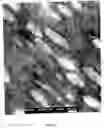 Fig. 02 - Elastic blends comprising crystalline polymer and crystallizable polymers of propylene