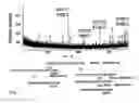Fig. 02 - Immunogenic muc1 glycopeptides