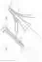 Fig. 03 - Catheter and method for mapping a pulmonary vein
