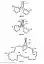 Fig. 02 - Electrosurgical device having hollow tissue cutting member and transducer assembly
