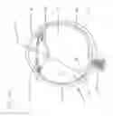 Fig. 07 - Methods for improving damaged retinal cell function