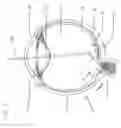 Fig. 07 - Artificial retina device with stimulating and ground return electrodes disposed on opposite sides of the neuroretina and method of attachment