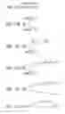 Fig. 22 - Lattice encoding