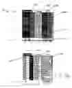 Fig. 12 - Apparatus and method for the mobile visual display and modification of bed management information and patient placement information