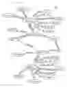 Fig. 06 - Medical support system