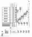 Fig. 08 - Nonvolatile memory and memory card