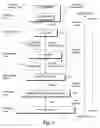 Fig. 02 - Method for programmer-controlled cache line eviction policy