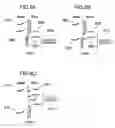 Fig. 06 - Method for executing plural programs, method for converting source programs and compiler program using these methods