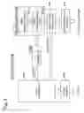 Fig. 06 - Method and Apparatus for Measuring Bit Error Rate (BER) of Tuner