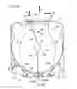 Fig. 41 - Methods and systems for scaling and rotating an image in a single operation