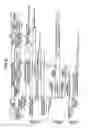 Fig. 41 - Firewall device