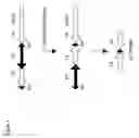 Fig. 02 - Method of controlling gene silencing using site specific recombination