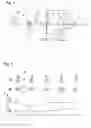 Fig. 02 - Method for producing a structured metal sheet for exhaust-gas treatment devices and apparatus for producing the structured metal sheet