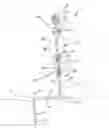 Fig. 02 - Stake for a decoy
