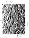 Fig. 03 - Fine abrasive paper backing material and method of making thereof
