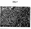 Fig. 07 - Nitrided valve lifter and producing method therefor