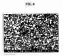 Fig. 08 - Nitrided valve lifter and producing method therefor