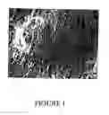 Fig. 02 - Facemask with filtering closure
