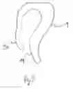 Fig. 04 - Apparatus and method for tying