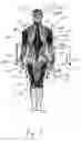 Fig. 04 - Multi-zone cooling/warming garment