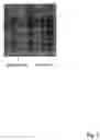 Fig. 02 - Isolation of sperm cells from other biological materials using microfabricated devices and related methods thereof
