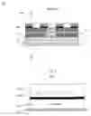Fig. 02 - Optical filter for image display devices and manufacturing method thereof