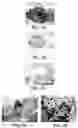 Fig. 02 - Polymeric solid supports for chromatography nanocolumns