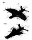 Fig. 02 - Transformable fluid foil with pivoting spars