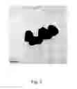 Fig. 06 - Method for preparing YAG fluorescent powder