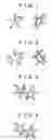 Fig. 02 - Metal complex of heterocyclic aromatic compound