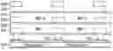Fig. 01 - CMOS image sensor and method for manufacturing the same