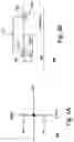 Fig. 03 - Diode structure for word-line protection in a memory circuit