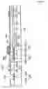 Fig. 35 - Thin film transistor substrate